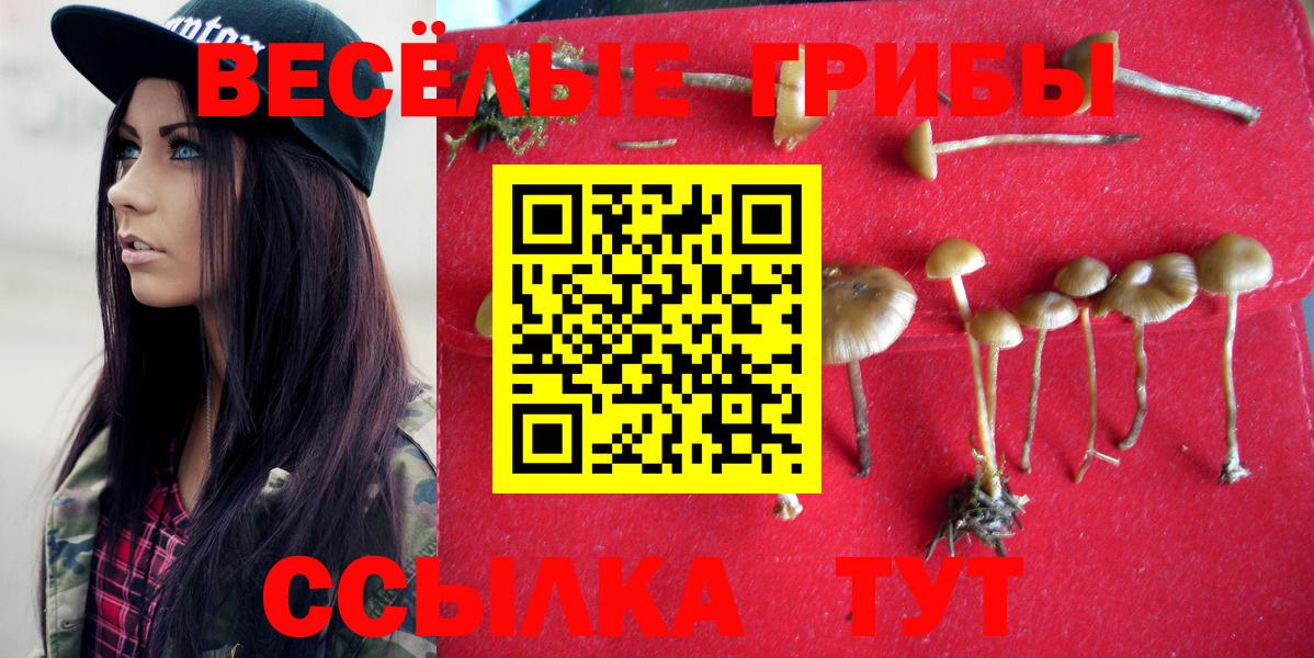 Галлюциногенные грибы GOLDEN TEACHER  Вход с VPN  Кольчугино  Псилоцибиновые грибы Psilocybe 