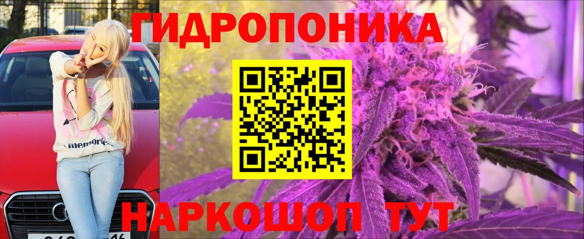 Конопля индика Кольчугино
